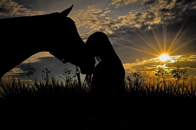 What Are Essential Oils & How Can They Benefit Your Horse?