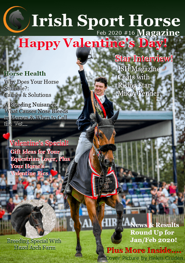 Irish Sport Horse Magazine Feb 2020 #16