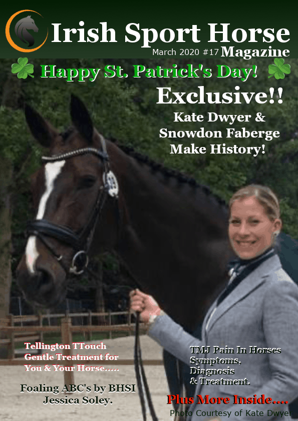 Irish Sport Horse Magazine March 2020 #17