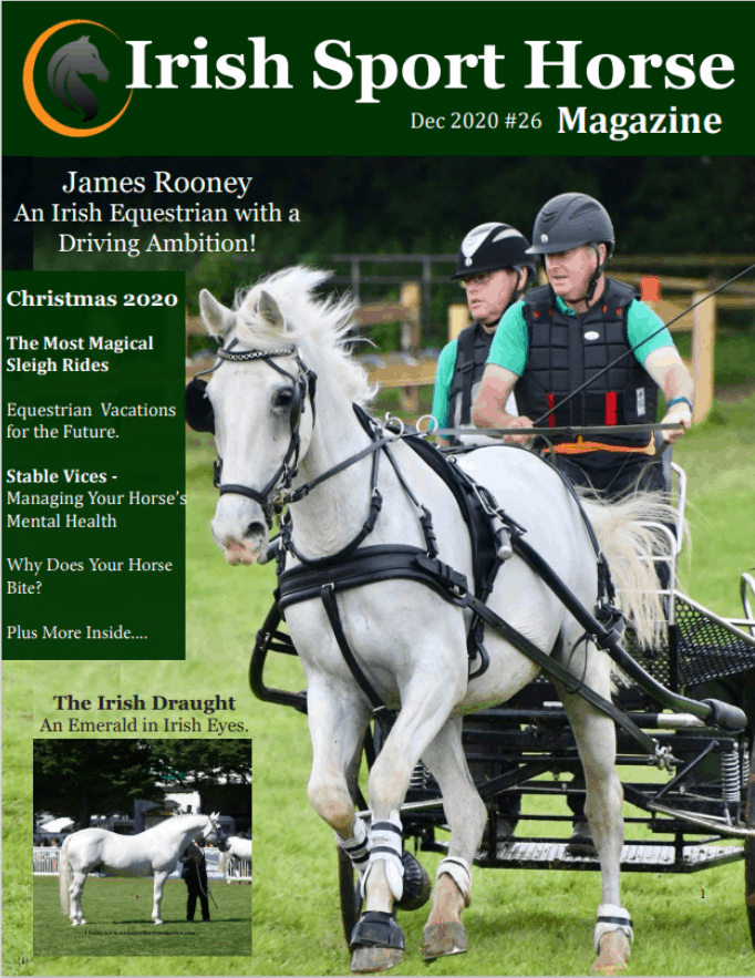 Irish Sport Horse Magazine December 2020 #26