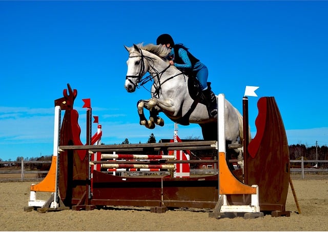 Introduction to Jumping in Horseback Riding